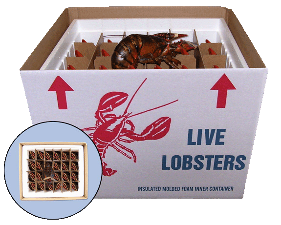 lobster box
