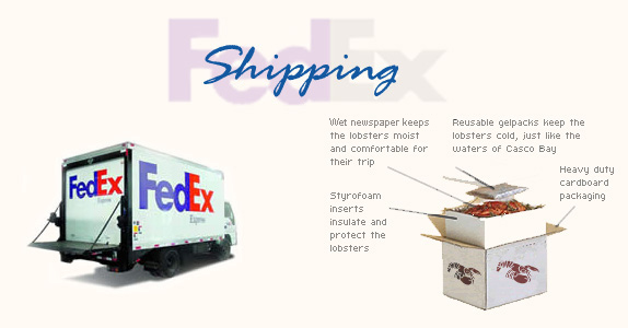 shipping lobster overnight