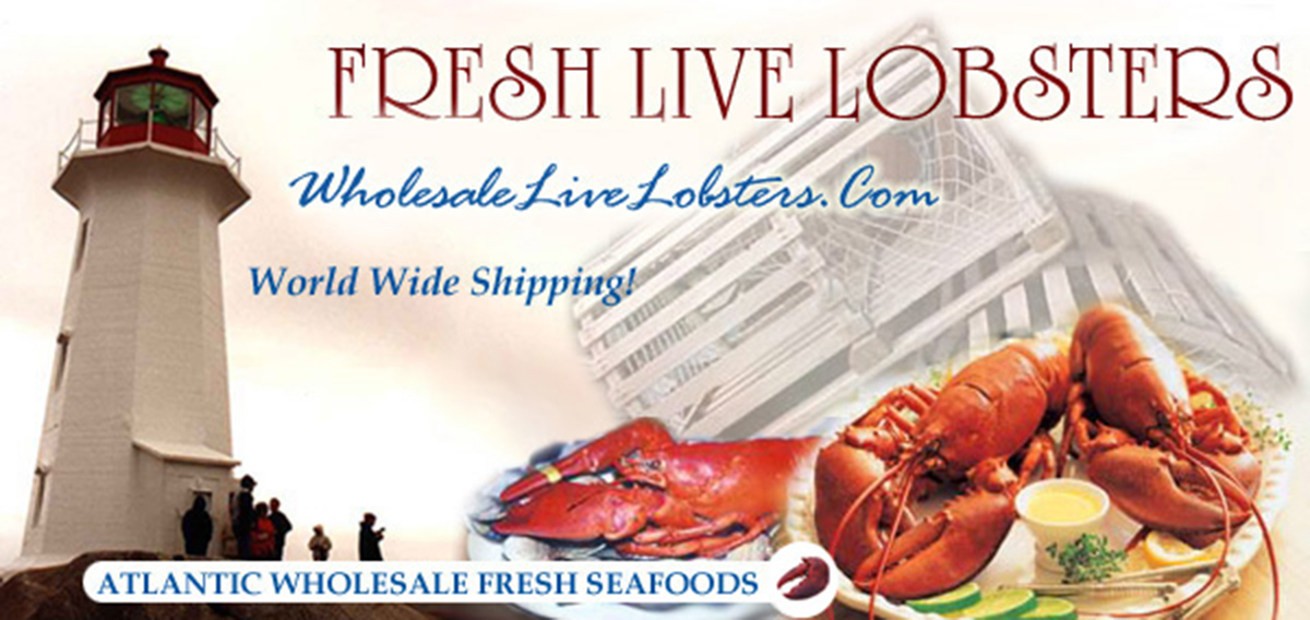 wholesale live lobster